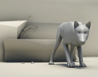 Wild dog / Wolf 3d animation