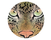 Leopardograph