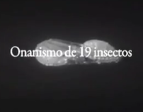 ONANISMO DE 19 INSECTOS I Video Poesia