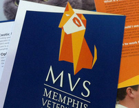 MVS Brochure