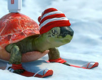 VivaCell Turtle Winter