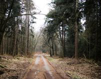 German Forest - Taunus