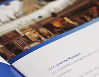 Blue Vision Brochure and business card