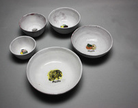 Ceramic Food Bowls