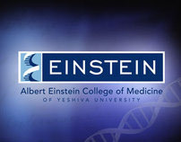 Einstein College of Medicine