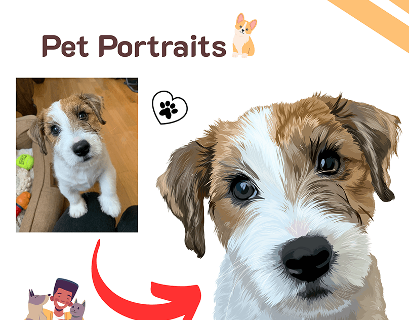 Pet Portrait Illustrations