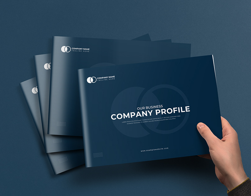 I will design company profile, white paper, brochure design, booklet or proposal