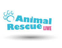 Animal Rescue Live - BBC One