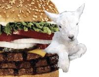 Burger King Lamb Burger