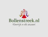 Bollenstreek.nl Business Portal Website Logo Design