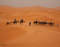 A Morocco desert trip.