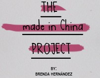 the made in china project