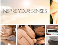 Buick Verano: Inspire Your Senses (digital campaign)
