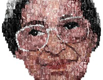 Rosa Parks Collage