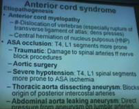 L4a Spinal Cord Clinical Notes Part 2 -Dr Sanjoy Sanyal