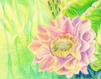 Cactus colored pencil drawing by April Galamin