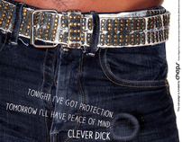Clever Dick Smart Arse Campaign - CHAPS funded campaign