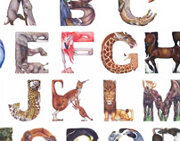 Animals in Alphabet Poster