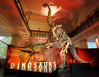 Dinosaurs Exhibition