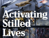 UCL: Activating Stilled Lives Poster