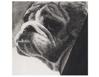 Painting Class Project - Bulldog in Black Watercolor