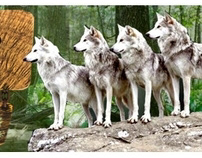 Oatland Island Wildlife Center Of Savannah Billboard Ad