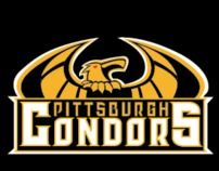 Pittsburgh Condors: Senior Thesis