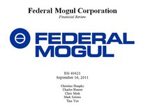 Federal Mogul Financial Review Project