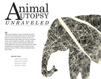 Animal Autopsy