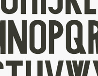 various typographies