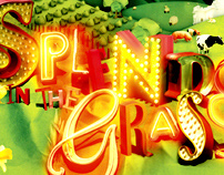 Splendour in the Grass 2009 Poster