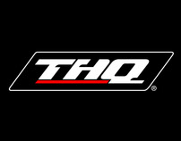 THQ Website Pitch (Dec 2008)