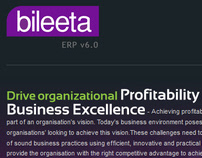 Bileeta - Company Website