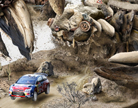 WRC Campaign for Citroën