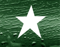 Whitestar - Logo Design & Stationary