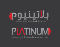 Platinum Car Polishing