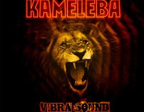 CD & Videoclip Kameleba
