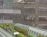 Green roof for Kelburn Campus Overbridge