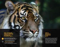 Taronga Tiger Conservation