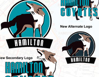 Hamilton Coyotes - NHL Team Relocation Proposal