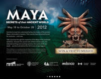Maya Exhibition Web Site
