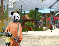 Panda Soldiers