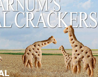 Animal Crackers - Rebranding