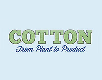 The Process of Cotton Infographic