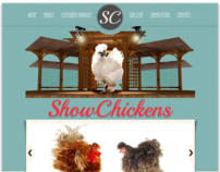 Show Chickens