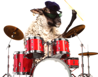 Drumming Sheep [produced]