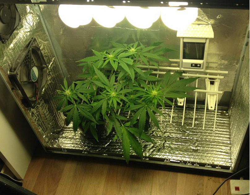 приспособление для выращивания марихуаны