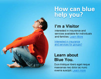 Blue Cross and Blue Shield of Florida Concept Website