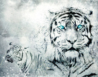 2010, Year of the Tiger