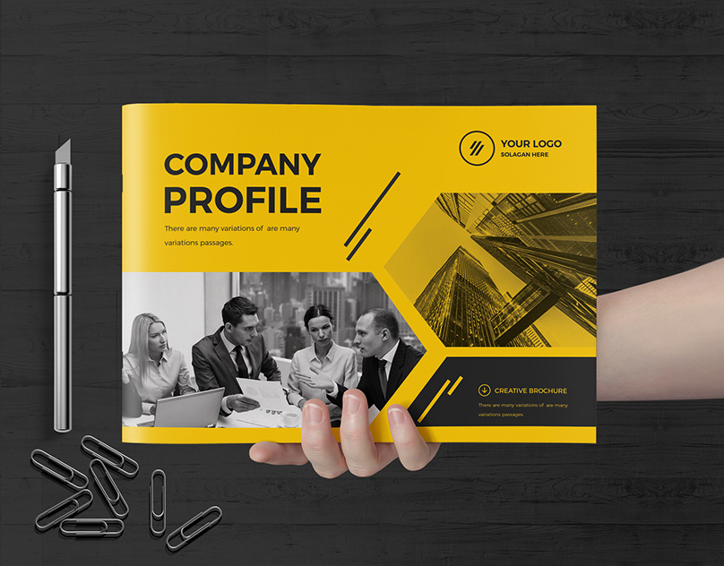 Company Profile 